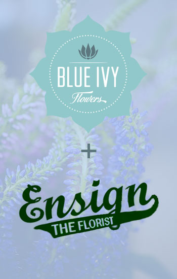 Blue Ivy + Ensign