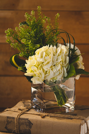 Blue Ivy Flowers - White hydrangea in glass vase sitting on books